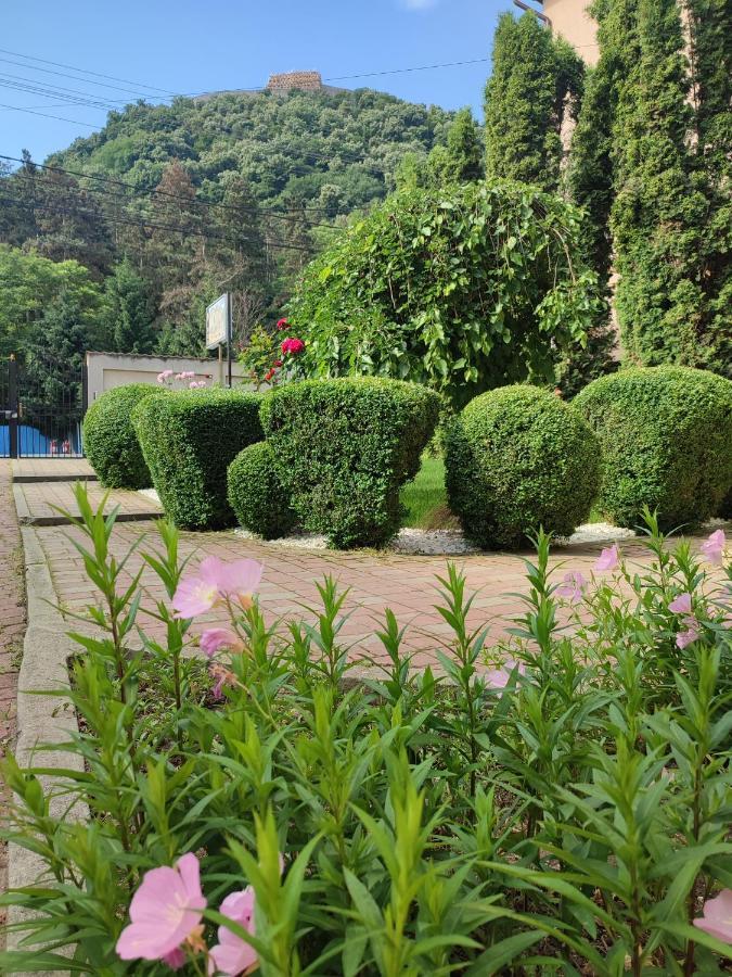 Casa Alina Hotel Дева Екстериор снимка
