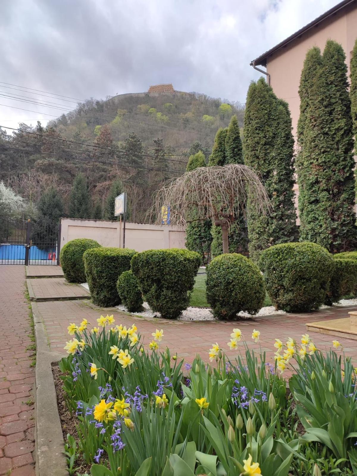 Casa Alina Hotel Дева Стая снимка